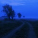 calmness Single