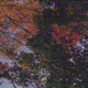ChangingColors Single