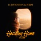 Heading Home feat Vide Single