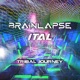 Tribal Journey Single