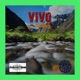 Vivo Single