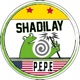 Shadilay Italian Version Single