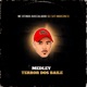 Medley Terror dos Baile Single