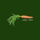 Root Single