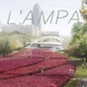L ampa EP