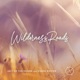 Wilderness Roads Single