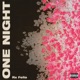 One Night Single