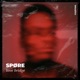 Love Bridge Single