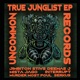 True Junglist feat Mista Jago Deemas J Single