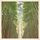 One Flight Up EP