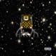 VIBEAR Side A
