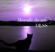Moonlit dream Single