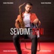 Sevdim Seni feat Ozan Bayrasan Single