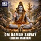 Om Namah Shivay Dhyan Mantra EP