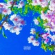 Last Single