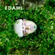 Edahi Single
