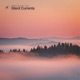 Silent Currents Single
