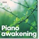 Piano Awakening Single