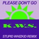 Please Don t Go Stupid Whizkid Remix Single