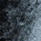 1997 Single