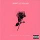 Won t Let You Go feat Valious Single
