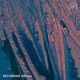 Recurring Dream Single