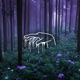 Synesthesia Single