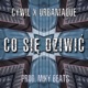 Co Się Dziwić Single