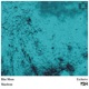 Blue Moon Single