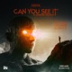Can You See It Cappa Regime Remix Single