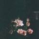 Natsukashii Single