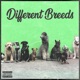 Different Breeds Single