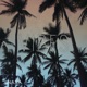 Vibes Single