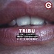 Sweet Disposition feat Calixte Vijay Sofia Edit Single