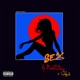 Sex Remix feat Skechi Single