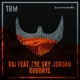 Goodbye feat Zoe Sky Jordan Single