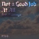 Not a Good Job at All feat Flamingo Single