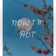 Now Im Hot Single