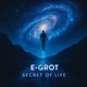 Secret of Life Single