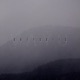 Grey Skies Single