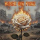 Rose On Fire Single