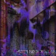 S3X0 N0 3L3V4D0R Single