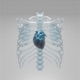 Heartbreakz Single