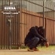 Street Laws Single