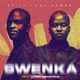 Swenka feat Worst Behaviour Single