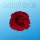 Muse Single