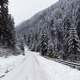 Rocky Mountain Roads Single