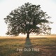 The Old Tree Single