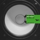 Basswerk 38 Junglegrowers 04 EP