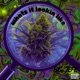 whats it lookin like Single